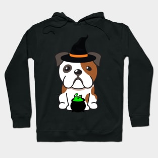 Cute english bulldog is a witch Hoodie